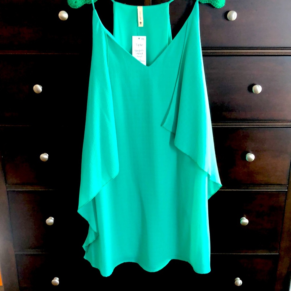 Tyche Fully Lined Spaghetti Strap Dress Sz M NWT HOST PICK